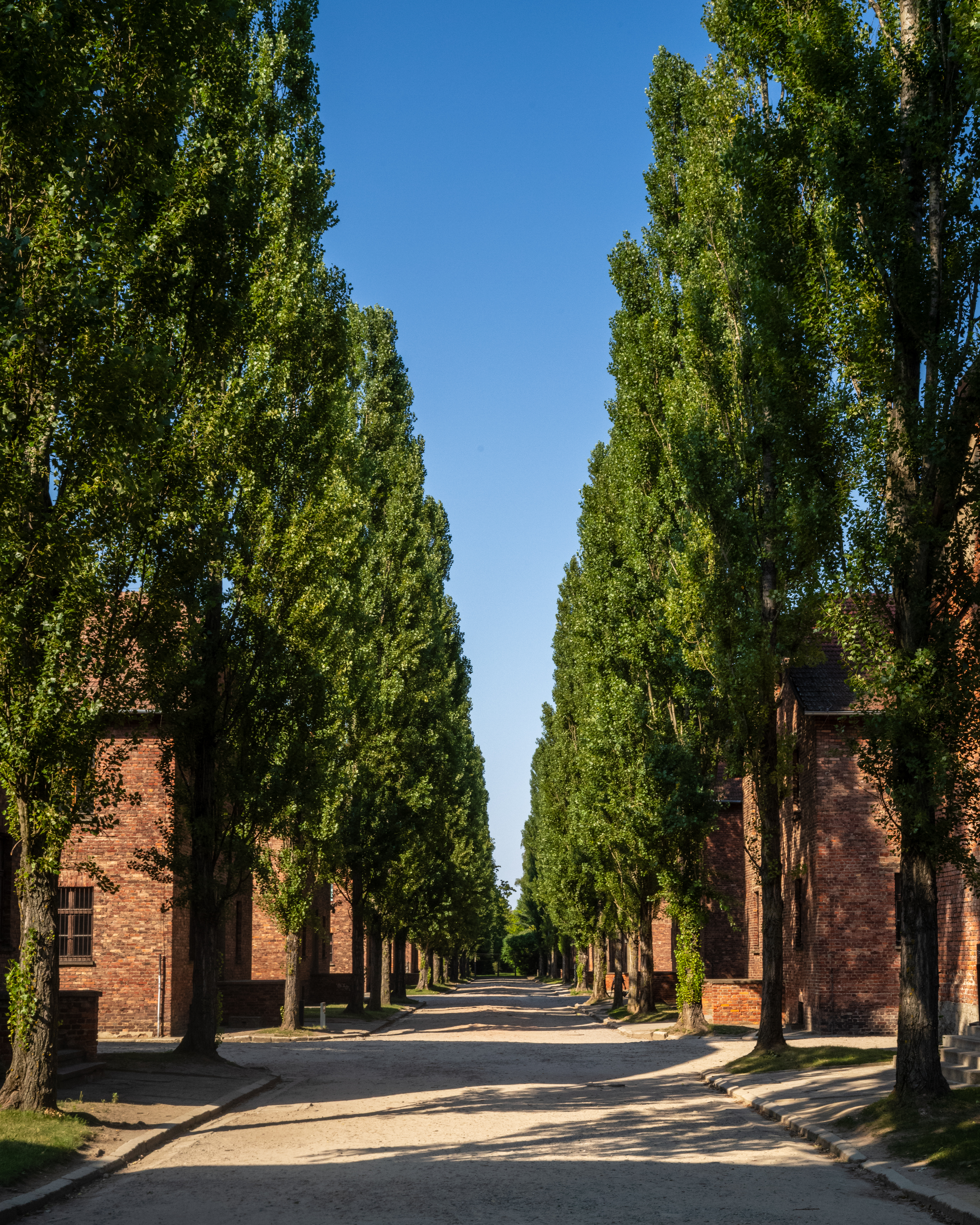 Auschwitz I, photo 6 of 12